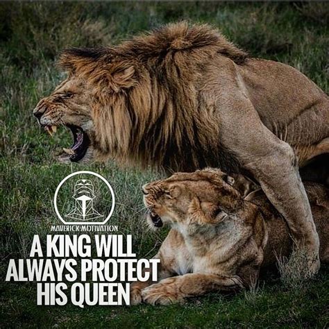 The lion king quotes scar: Tag your queen! | Lion quotes, Lion love, Inspirational ...