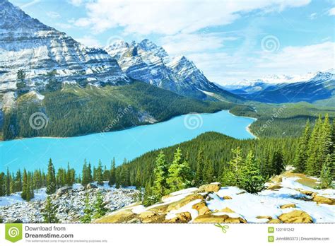 Peyto Lake In Banff National Park Canada Stock Photo Image Of Canada