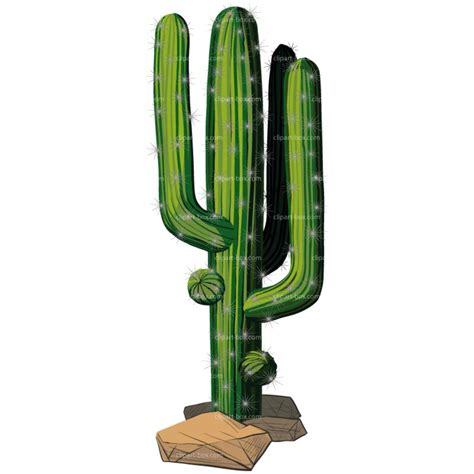 Download High Quality Cactus Clip Art Template Transparent Png Images