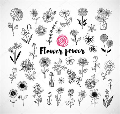 Set Of Doodle Flowers — Stock Vector © Elinacious 138801670
