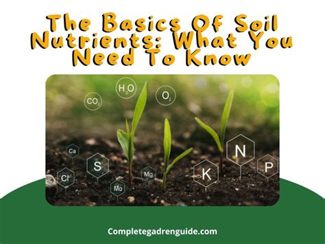 Mastering The Basics Of Soil Nutrients Soil Nutrition Complete