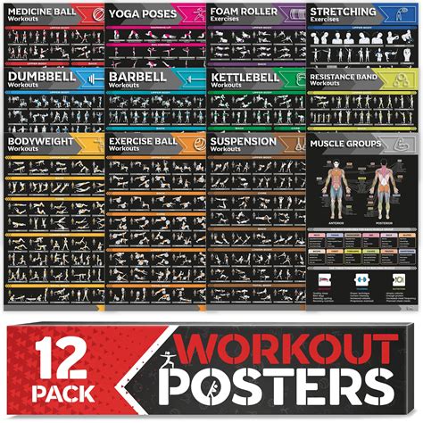 Buy 12 Pack Laminated Large Workout Set Perfect Workout S For Home