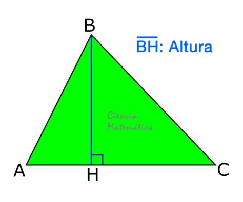 🥇 Altura De Un Triángulo【definición Y Ejercicios💥】