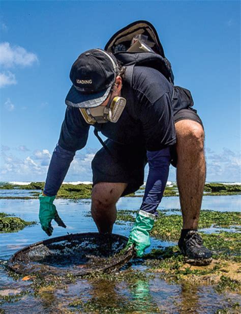Mystery Oil Spill Threatens Marine Sanctuary In Brazil Science