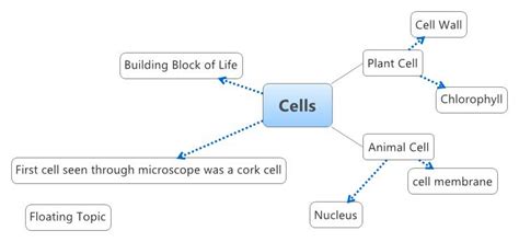 Cells Xmind Mind Mapping Software