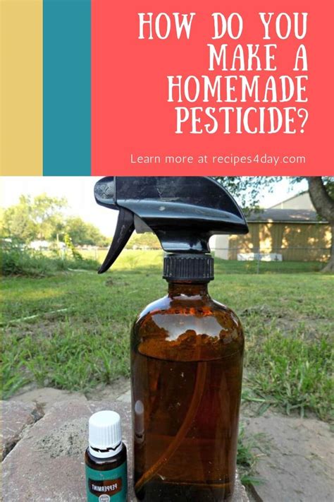 How Do You Make A Homemade Pesticide