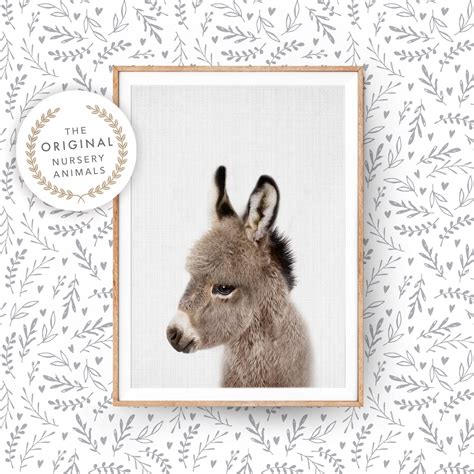 Baby Donkey Wall Art Print Farm Animal Poster For Nursery Room
