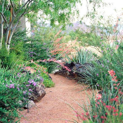 Desert Landscaping Ideas