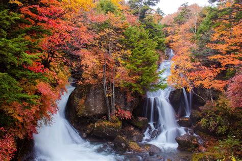 Bilder Nikko Nationalpark Japan Franks Travelbox