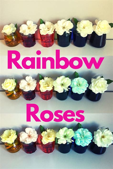 Rainbow Rose Experiment Rainbow Roses Activities For 5 Year Olds 4
