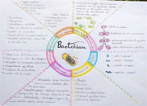 Mapa Mental Bactéria Microbiologia