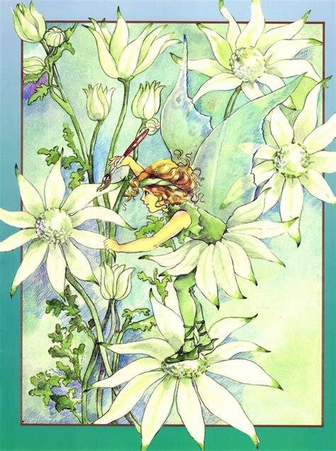 Flower Fairy Illustration By Jan Wade The Flannel Flower Etsy Fairy