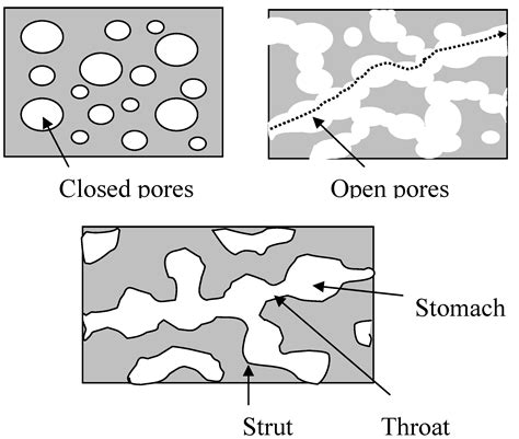 Materials Free Full Text Gradedgradient Porous Biomaterials