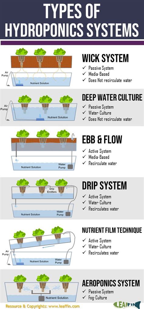 Basic Hydroponic Systems And How They Work Hydroponics System