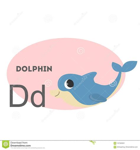 Dolphin On Alphabet Stock Vector Illustration Of English 107320031