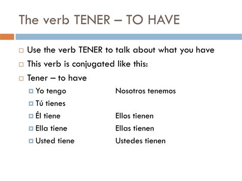 El Verbo Tener The Verb To Have D