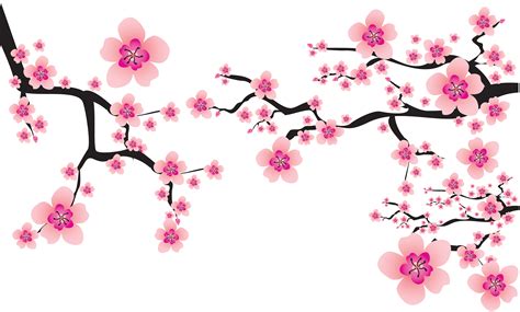 Transparent Sakura Flower Vector Png Get Images Four Images