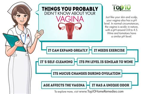 10 Things You Probably Didnt Know About Your Vagina Top 10 Home Remedies