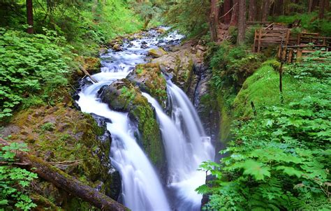 Wallpaper Forest Trees River Waterfall Stream Usa Washington