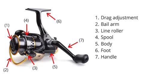 Spinning Reel Parts Your Detailed Guide