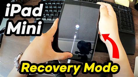 How To Reset Ipad Mini A1432 Without Passcode Ipad Is Disabled Fix
