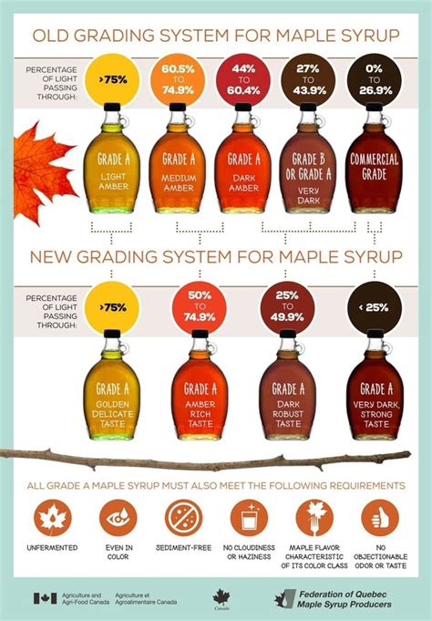 Whats It Like To Eat Maple Syrup Right Off The Tree Quora