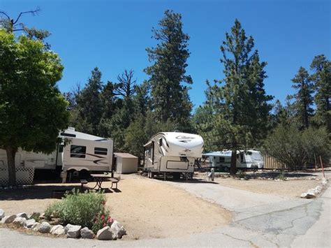 Pine Tree Rv Park Campground Reviews Big Bear Region Ca Big Bear