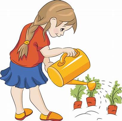 Clipart Plants Watering Cliparts Water Clip Need