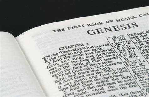 What is the Big Picture of the Book of Beginnings? - Bible Gateway Blog