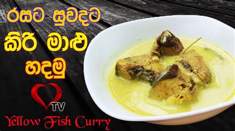 Kiri Malu Hodi මාළු කිරට හදමුකිරි මාලු හොදි Coconut Milk Fish