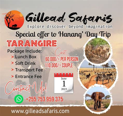 Gillead Safaris