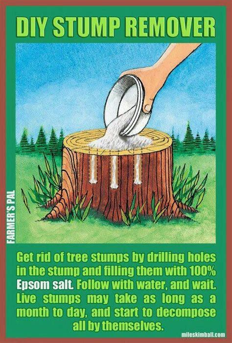 We want to use a stump grinder but we have never used one. Epsom Salt Formula for Stump Removal | Stump Removal ...