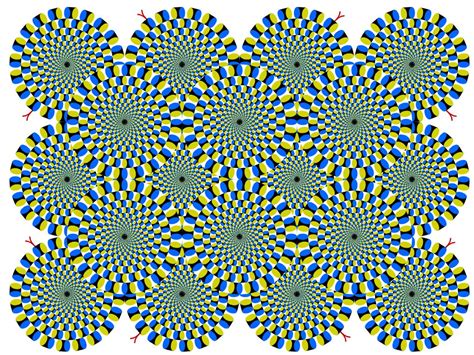 Top 5 Les Meilleures Illusions Doptique
