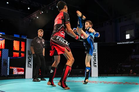 Immaf Is Mixed Martial Arts Really A Dangerous Sport