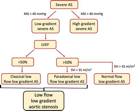 Subtypes Of Severe Aortic Stenosis As Aortic Stenosis Lvef Left