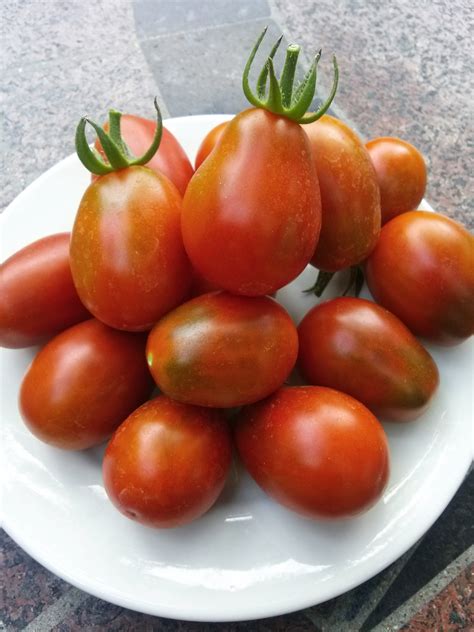 Black Plum Tomato — The Coeur Dalene Coop