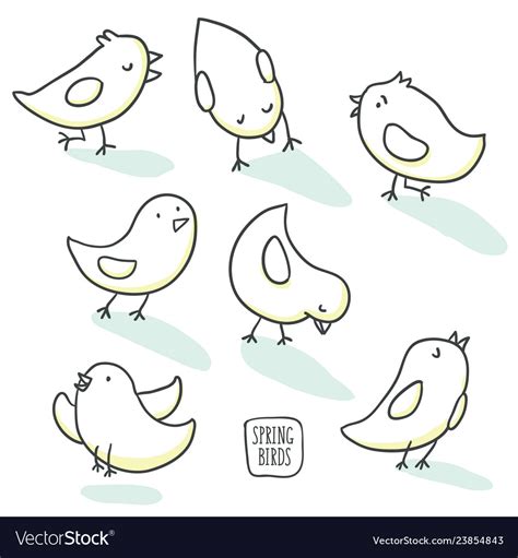 Collection Of Cute Hand Drawn Bird Doodles Vector Image