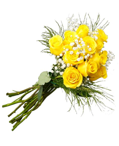 Yellow Roses Royers Flowers And Ts Flowers Plants And Ts