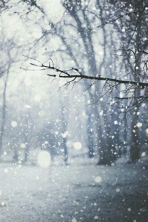 Droplets Of Falling Snow With Images Winter Scenes Winter