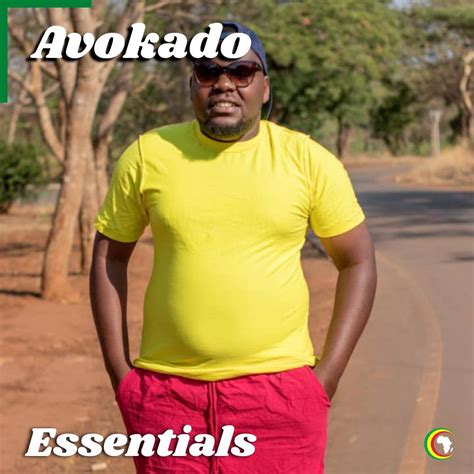 Avokado Essentials Playlist Afrocharts