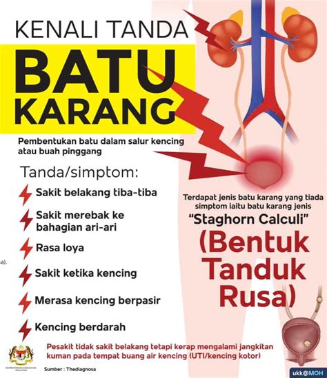 Ia berlaku disebabkan sisa buangan terkumpul di dalam darah. Masalah Batu Karang dengan sudah Tiada dengan Produk Selamat