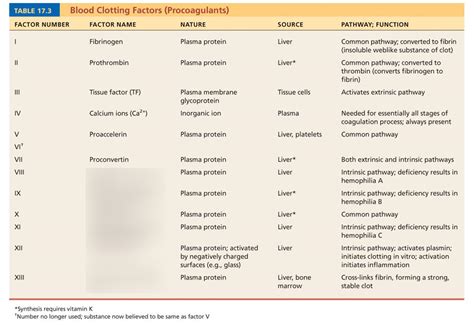 19 7 Clotting Factors Cont Diagram Quizlet