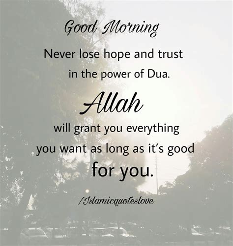 Islamic Quote Good Morning Never Lose Hope And Trust In The Power Of