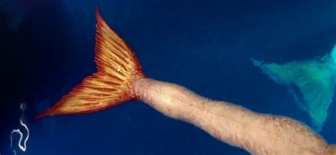 An Image Of A Fish That Is Swimming In The Water With Its Tail