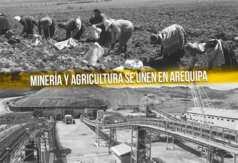 Minería Y Agricultura Se Unen En Arequipa El Montonero