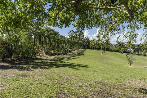 Maybe you would like to learn more about one of these? Eco Hotel In The Heart Of Belize: Casa Caballo Blanco