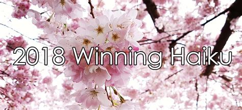 Winning Haiku Vancouver Cherry Blossom Festival Vancouver Cherry