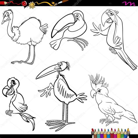 Dibujos Animados Aves Para Colorear Página 2023