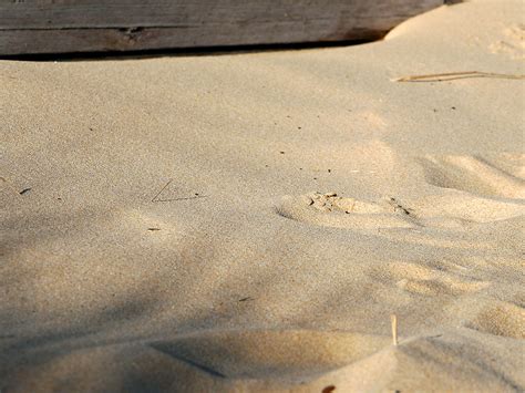 File:Beach sand.jpg - Wikipedia