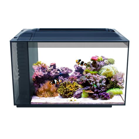 Fluval Sea Evo V Saltwater Fish Tank Aquarium Kit Black Buy Online In